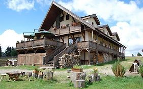 Cabana Moţilor